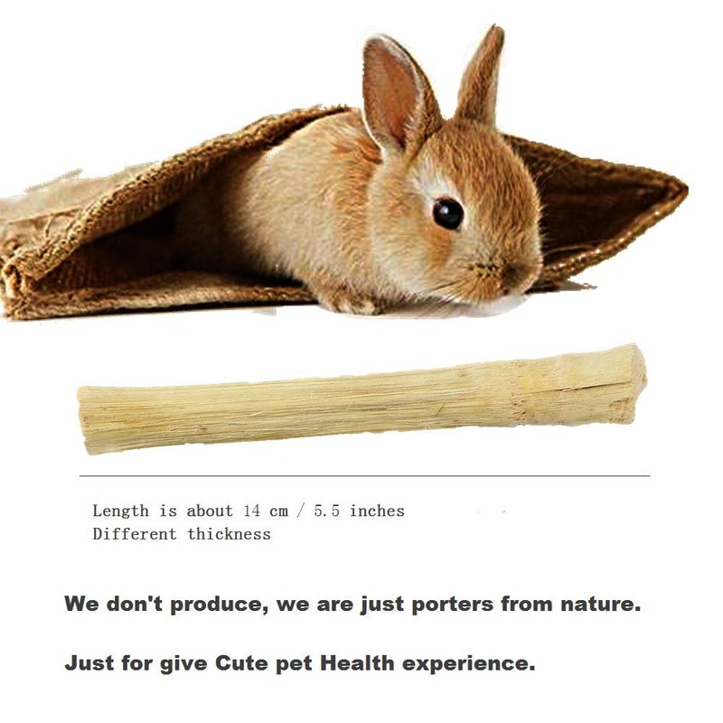 Dbeans Flourithing 300g/10.5oz Bamboo Sticks for Rabbits - Rabbit Chew Toys for Teeth with Rabbit Treats Included - Durable Chew Sticks for Hours of Fun - Image 2